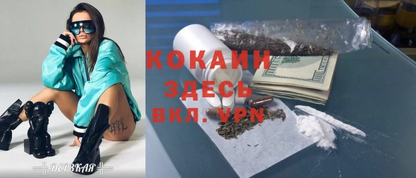 2c-b Бородино