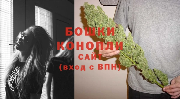 2c-b Бородино